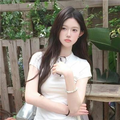 光荣之路上的狗