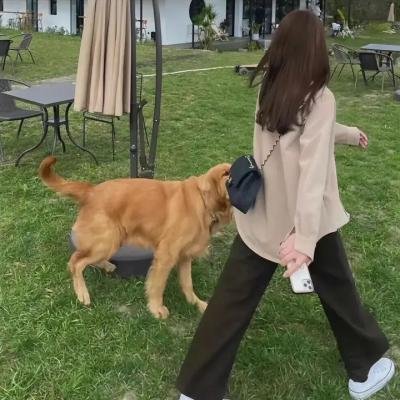 东京暮色
